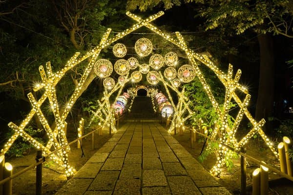 HANA・BIYORI×竹あかり「HANAあかり」